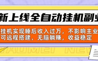新上线全自动挂机副业：靠挂机实现睡后收入过万，不影响主业可远程搭建…