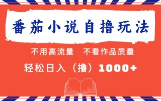 番茄小说最新自撸 不看流量 不看质量 轻松日入1000+