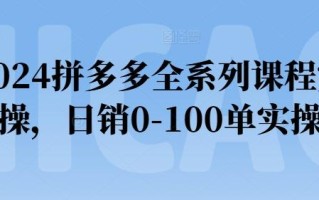 2024拼多多全系列课程实操，日销0-100单实操【必看】