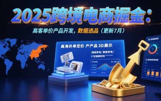 2025跨境电商掘金：蓝海市场定位，高客单价产品开发，数据选品(更新7月