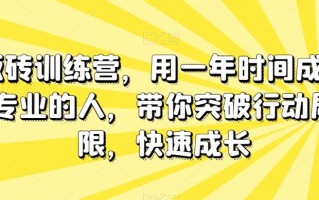板砖训练营，用一年时间成为专业的人，带你突破行动局限，快速成长