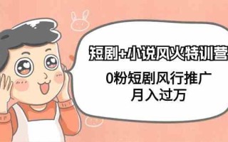 小说+短剧风火特训营，0粉短剧小说风行推广，实现月入过万