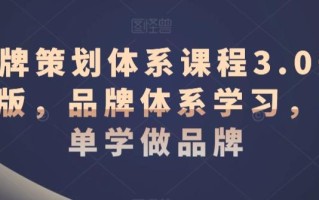 品牌策划体系课程3.0升级版，品牌体系学习，简单学做品牌