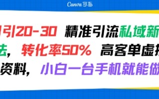 日引 20-30 精准引流私域新玩法，转化率50% 高客单虚拟资料，小白一台手机就能做