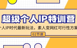 超级个人IP特训营，个人IP时代才最新玩法，素人变网红可行性方案 (61节