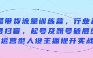 直播带货流量训练营，行业基础术语扫盲，起号及账号破层级，运营型人设主播提升实战