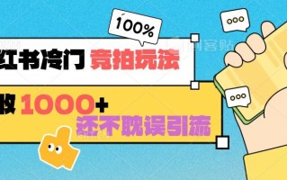 小红书冷门 竞拍玩法 日收1000+ 不耽误引流 可以做店铺 可以做私域
