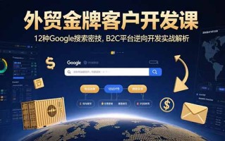 外贸金牌客户开发课，12种Google搜索密技，B2C平台逆向开发实战解析