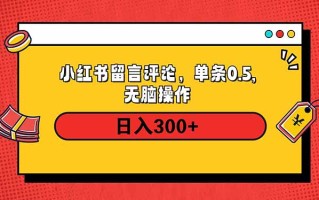 小红书评论单条0.5元，日入300＋，无上限，详细操作流程