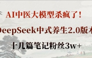 AI中医大模型杀疯了！DeepSeek中式养生2.0版本，十几篇笔记粉丝3w+