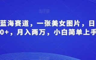最新蓝海赛道，一张美女图片，日引100+，月入两万，小白简单上手