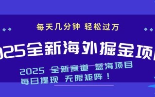 2025最新海外掘金项目 一台电脑轻松日入500+