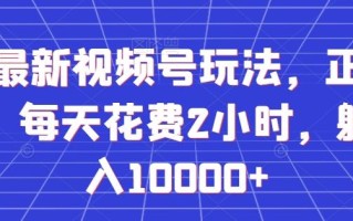 全网最新视频号玩法，正能量赛道，每天花费2小时，躺着月入10000+【揭秘】