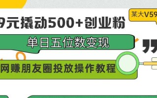 (9534期)99元撬动500+创业粉，单日五位数变现，网赚朋友圈投放操作教程价值5980！