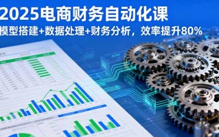 2025电商财务自动化课，模型搭建+数据处理+财务分析，效率提升80%