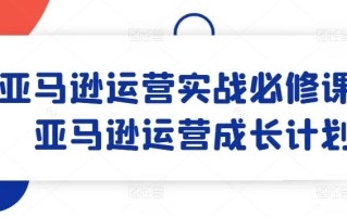 亚马逊运营实战必修课，亚马逊运营成长计划