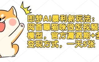 即梦AI暴利新玩法：全网首曝猫咪做饭视频躺Z模型，官方漏洞期+多种变现方式，一天5张