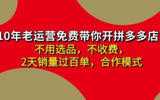 拼多多-合作开店日入4000+两天销量过百单，无学费、老运营教操作、小白…