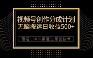 最新视频号创作分成计划，无脑搬运一天收益500+，100%搬运过原创技巧【揭秘】