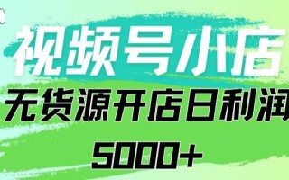 视频号无货源小店从0到1日订单量千单以上纯利润稳稳5000+【揭秘】