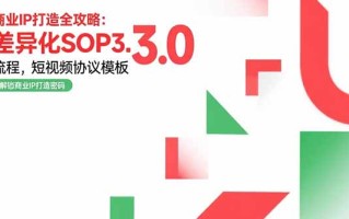 商业IP打造全攻略：差异化SOP3.0流程，短视频协议模板，婚恋项目实战案例