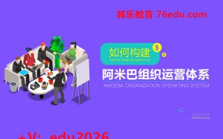 如何构建阿米巴组织运营体系 mp4高清无水印视频教程网盘免费下载
