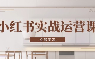 小红书实战运营课：从开通店铺到直播话术，打造爆款笔记与高效直播