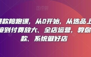 淘系爆款陪跑课，从0开始，从选品上架操作链接到付费放大、全店运营，教你打爆款、系统做好店