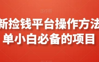 最新捡钱平台操作方法简单小白必备的项目