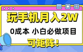 玩玩手机月入20000+，0成本小白必做项目，可矩阵