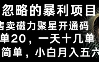被忽略的暴利项目！售卖磁力聚星开通码，一单20，一天十几单，轻松月入五六千