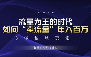 未来如何通过“卖流量”年入百万，跨越一切周期绝对蓝海项目