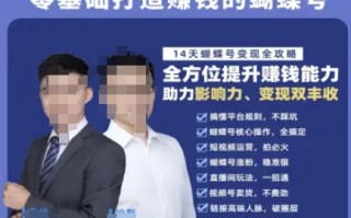 蝴蝶号专栏-视频号运营教程，零基础打造挣钱的蝴蝶号，14天蝴蝶号变现全攻略