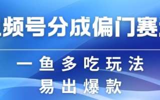 视频号创作者分成计划偏门类目，容易爆流，实拍内容简单易做【揭秘】