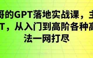 浩哥的GPT落地实战课，主攻GPT，从入门到高阶各种高端法一网打尽