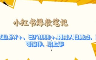 利用人性的痛点，打造爆款笔记，获得点赞超过1.5W+，日入1k【揭秘】