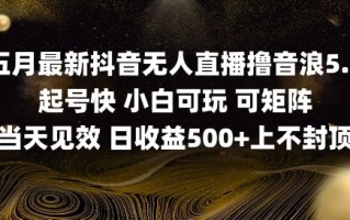 2025五月最新无人直播撸音浪单日产出5张+实操教程【揭秘】