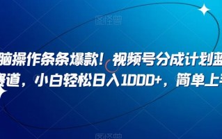 无脑操作条条爆款！视频号分成计划蓝海赛道，小白轻松日入1000+，简单上手
