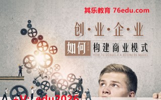 创业企业如何构建商业模式（2集） mp4高清无水印视频教程网盘免费下载
