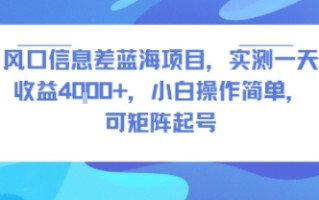 风口信息差蓝海项目，实测一天收益4k+，小白操作简单，可矩阵起号