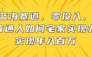 新蓝海赛道，零投入，一个普通人如何宅家办公实现年入百万