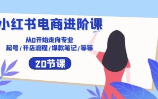 小红书电商进阶课：从0开始走向专业 起号/开店流程/爆款笔记/等等(20节