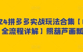 2024拼多多实战玩法合集【0-1全流程详解】照葫芦画瓢