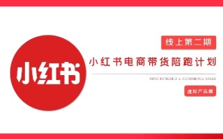 2025小红书虚拟电商实战课