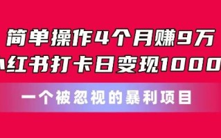 简单操作4个月赚9w，小红书打卡日变现1k，一个被忽视的暴力项目【揭秘】