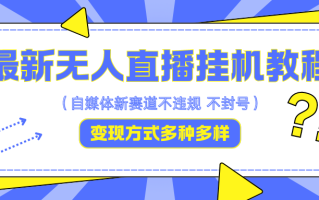 最新无人直播挂机教程，可自用可收徒，收益无上限，一天啥都不干光靠收徒变现5000+