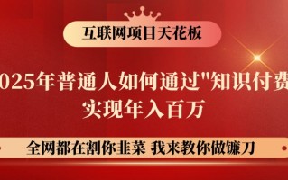 网创项目终点站-镰刀训练营超级IP合伙人，25年普通人如何通过“知识付费”年入百万