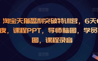 淘宝天猫盈利突破特训营，6天6夜，课程PPT，导师脑图，学员脑图，课程录音