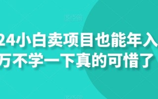 2024小白卖项目也能年入百万不学一下真的可惜了