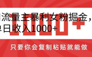AI流量主暴利女粉掘金，单日收入1000+，只要你会复制粘贴就能做